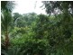 Ingham QLD 4850