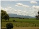 Ingham QLD 4850