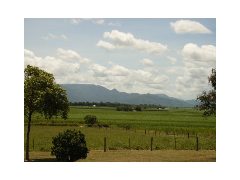 Ingham QLD 4850