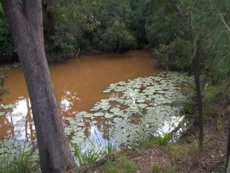 Mount Fox QLD 4850