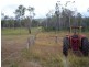 Mount Fox QLD 4850