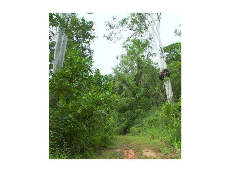 Hawkins Creek QLD 4850