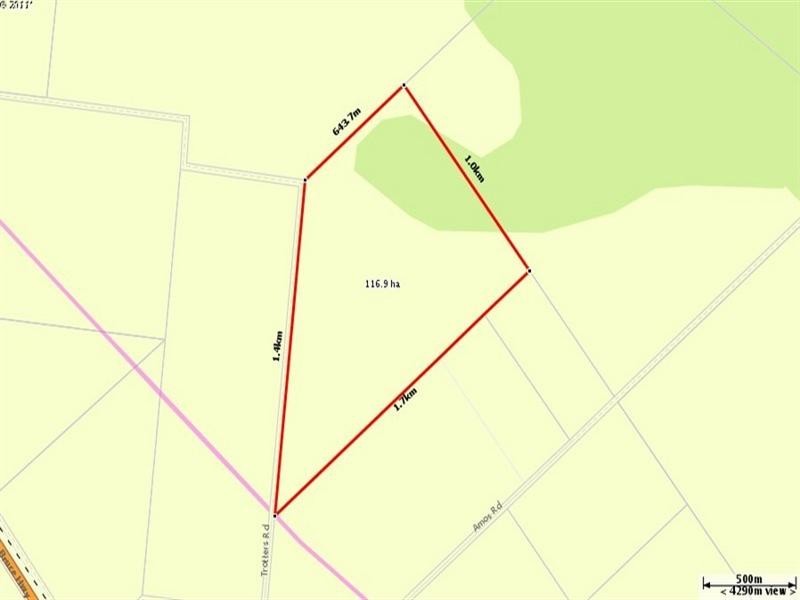 58 Trotters Road, Bambaroo QLD 4850