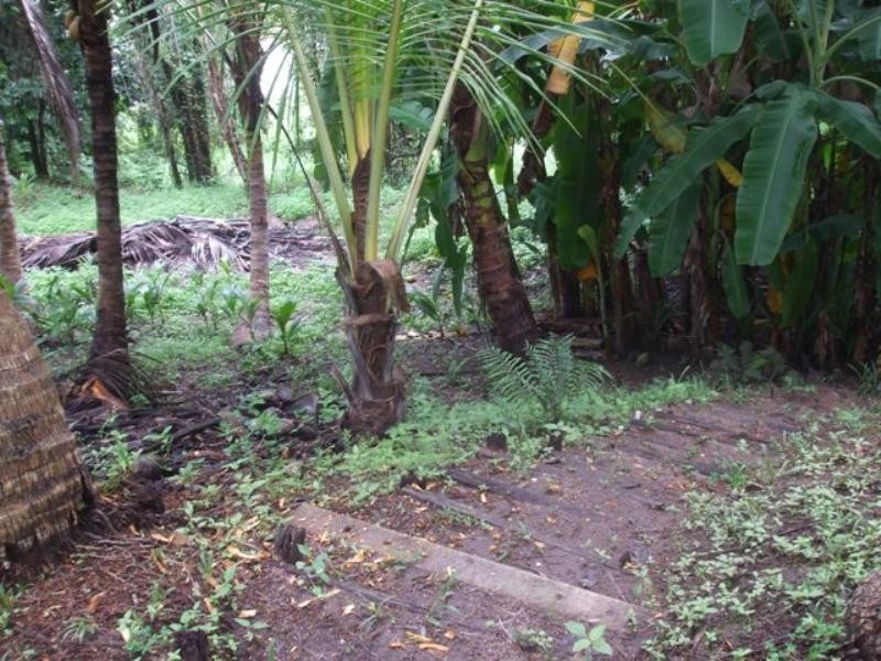 Long Pocket QLD 4850