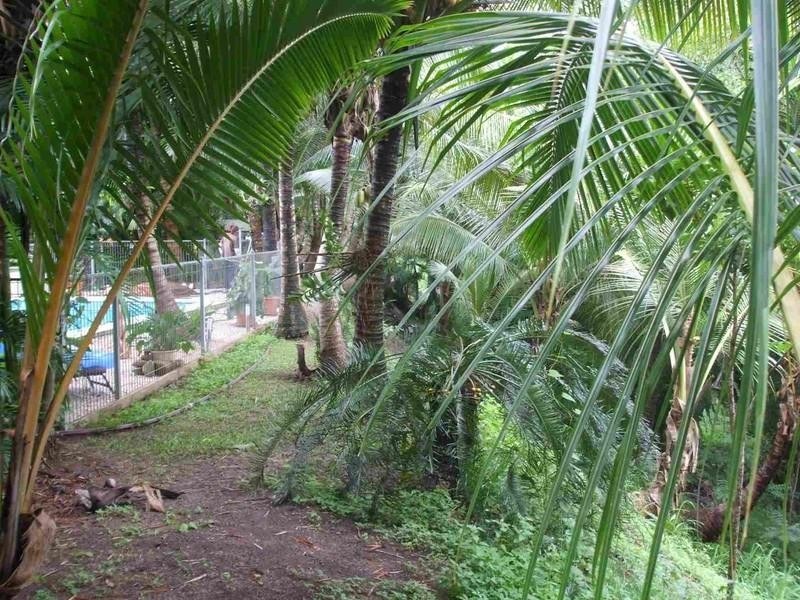 Long Pocket QLD 4850