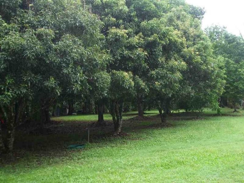 Long Pocket QLD 4850