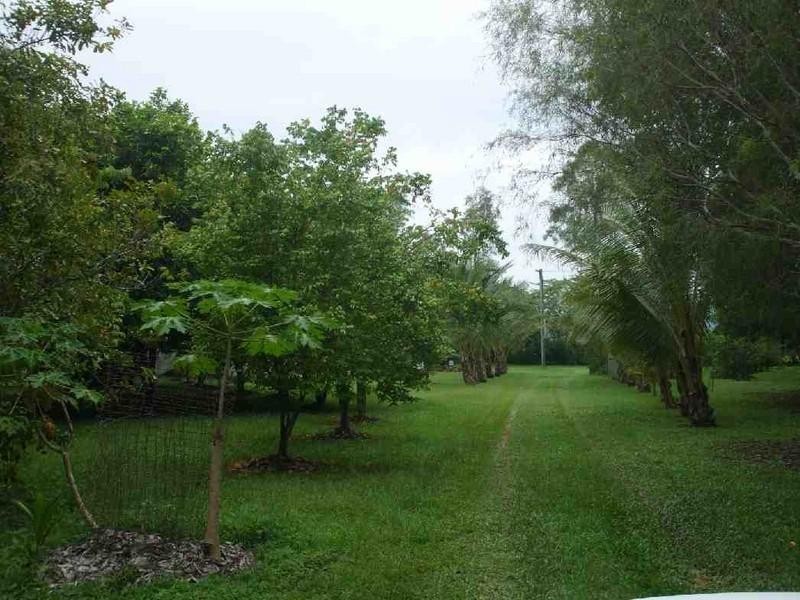 Long Pocket QLD 4850