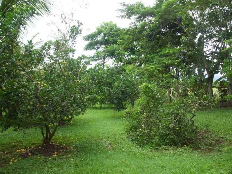 Long Pocket QLD 4850