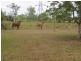Ingham QLD 4850