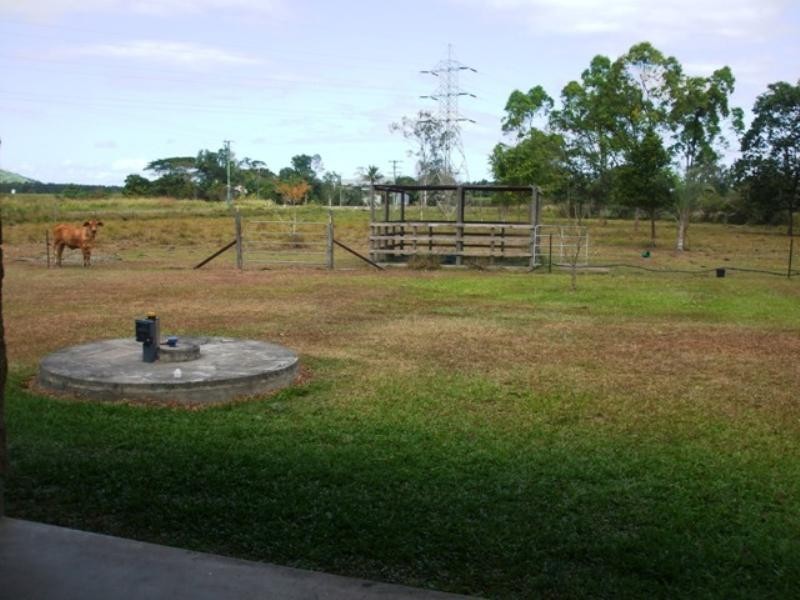 Ingham QLD 4850