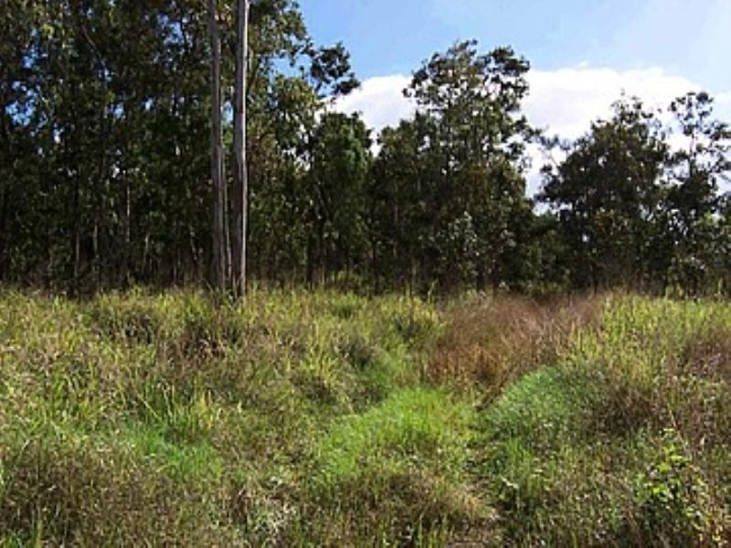 10 Sheahans Road, Long Pocket QLD 4850