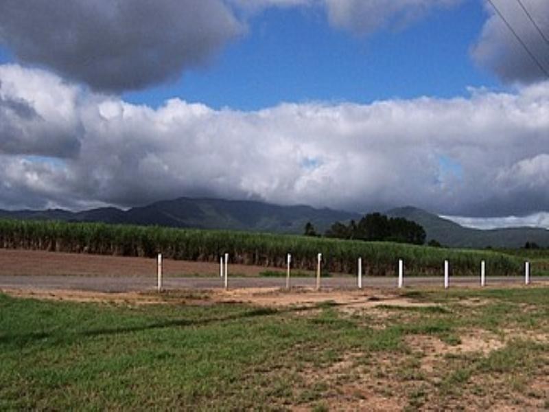 10 Sheahans Road, Long Pocket QLD 4850