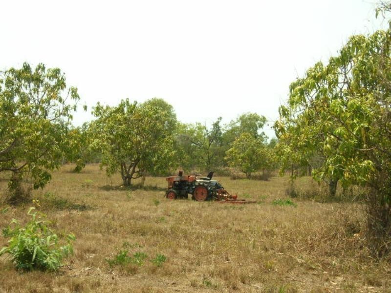 26 Trotter Road, Mutarnee QLD 4816