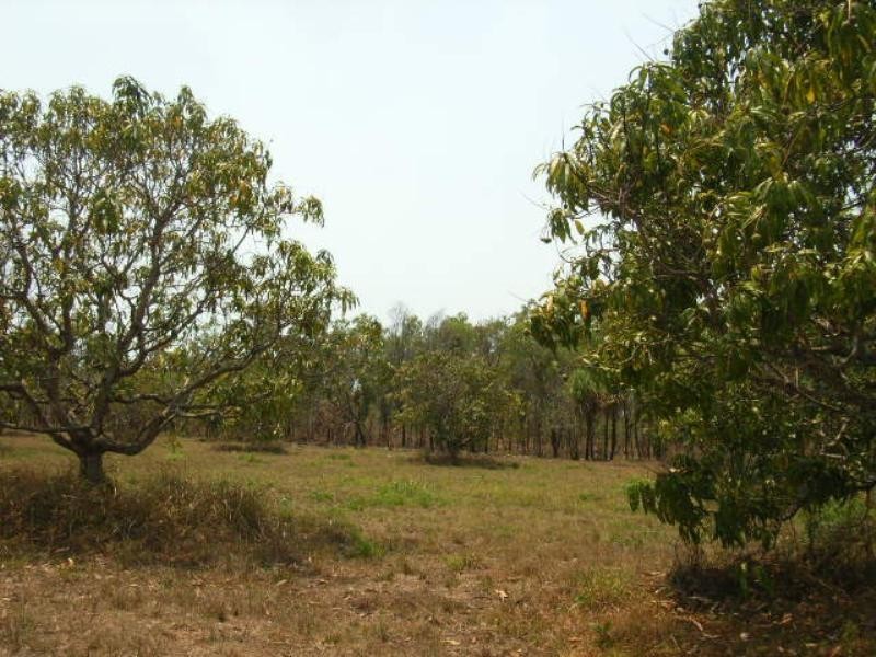 26 Trotter Road, Mutarnee QLD 4816