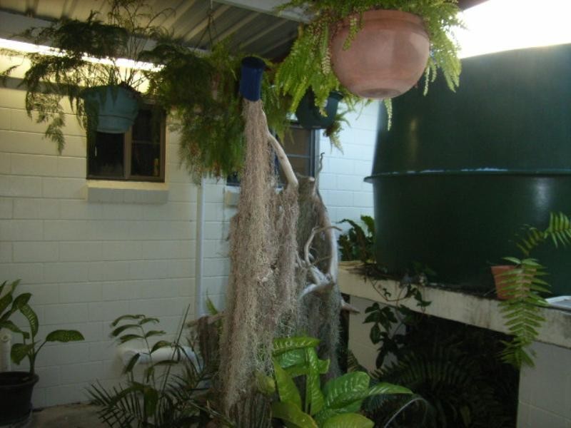 Taylors Beach QLD 4850