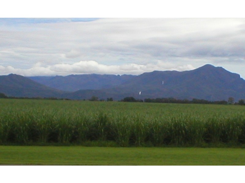 Macknade QLD 4850