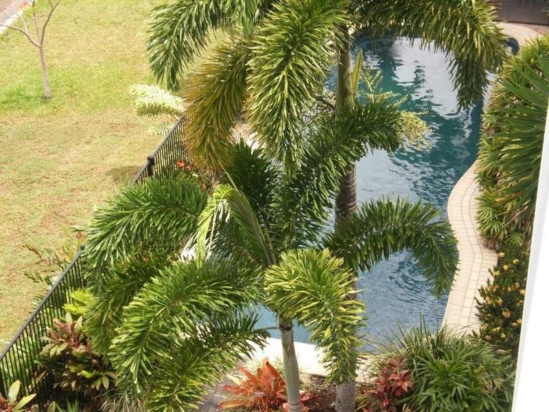 3-10 Poinciana Poinciana Boulevard, Cardwell QLD 4849