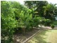 Ingham QLD 4850