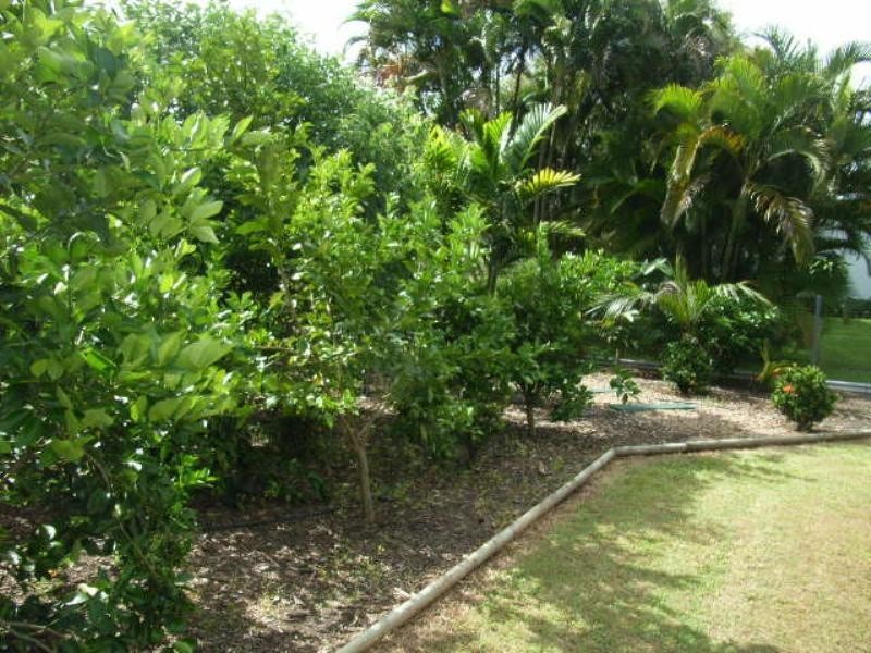 Ingham QLD 4850