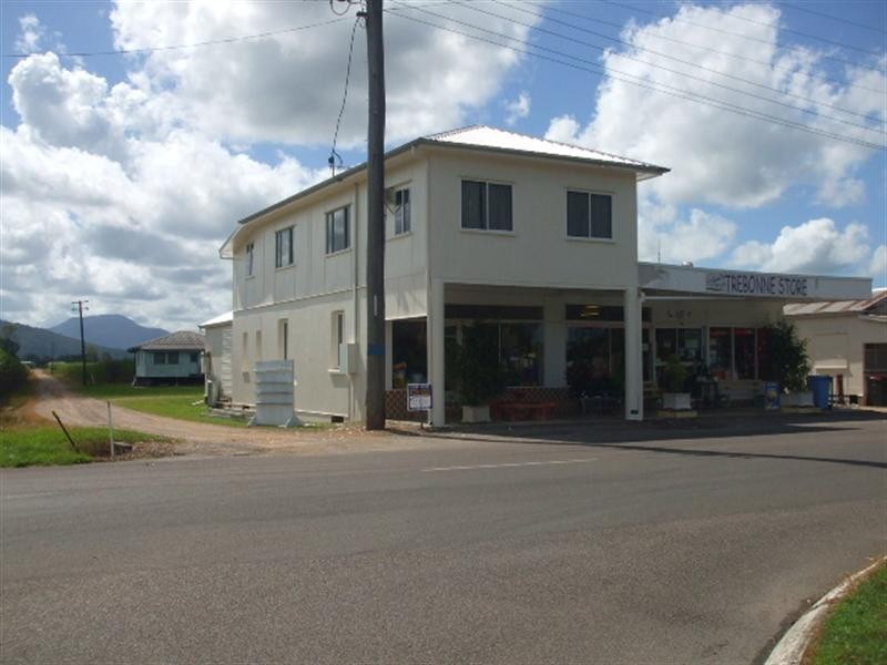 52 Abergowrie Road, Trebonne QLD 4850