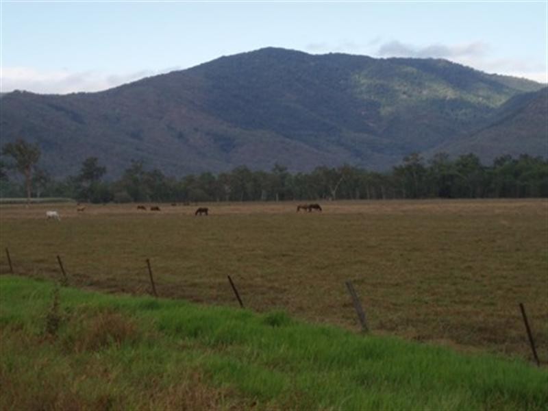 1 Pappins Road, Ingham QLD 4850