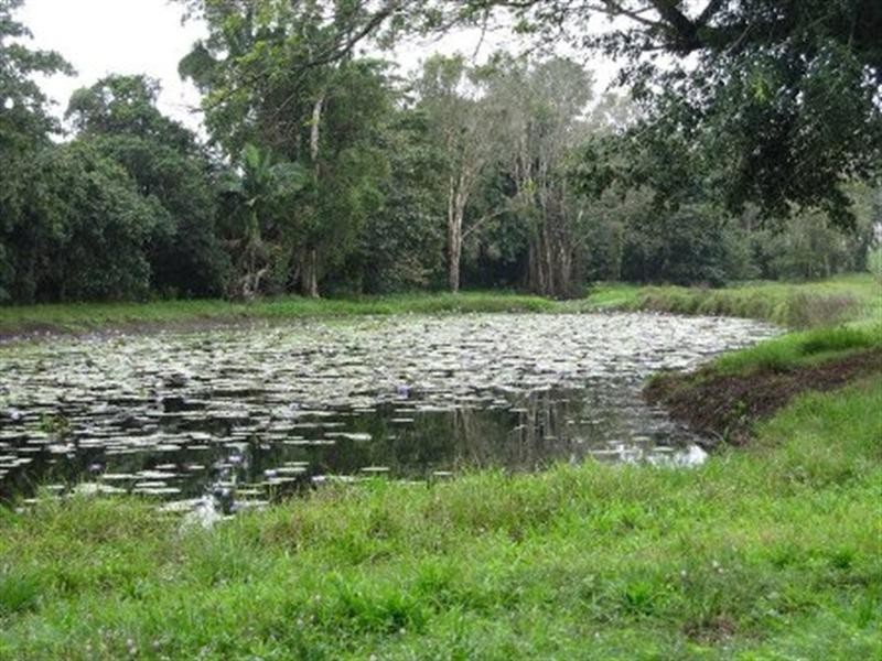 21 Bullock Paddock Road, Macknade QLD 4850