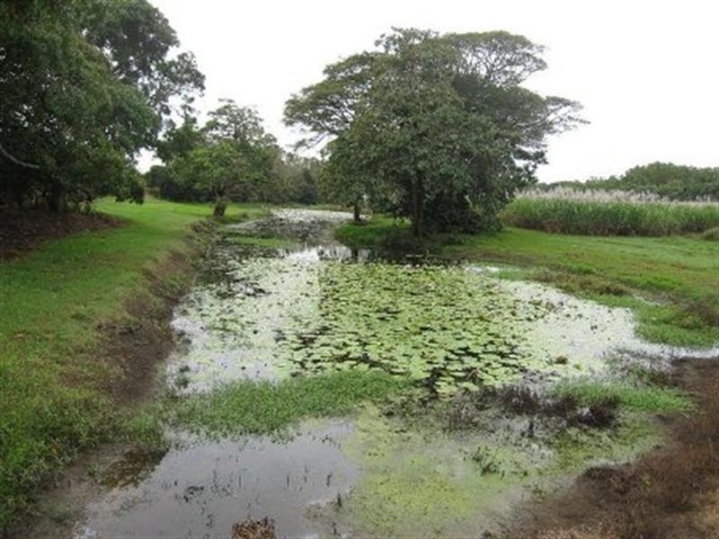 21 Bullock Paddock Road, Macknade QLD 4850