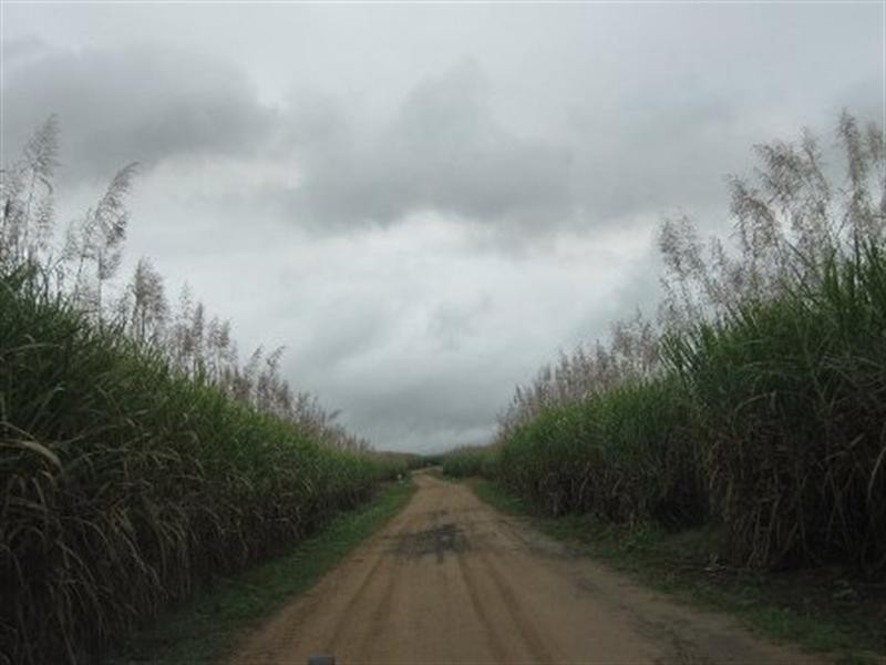 21 Bullock Paddock Road, Macknade QLD 4850