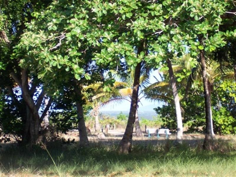 Lucinda QLD 4850