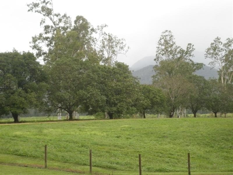 2350 Hawkins Creek Road, Hawkins Creek QLD 4850