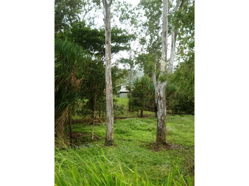 2350 Hawkins Creek Road, Hawkins Creek QLD 4850