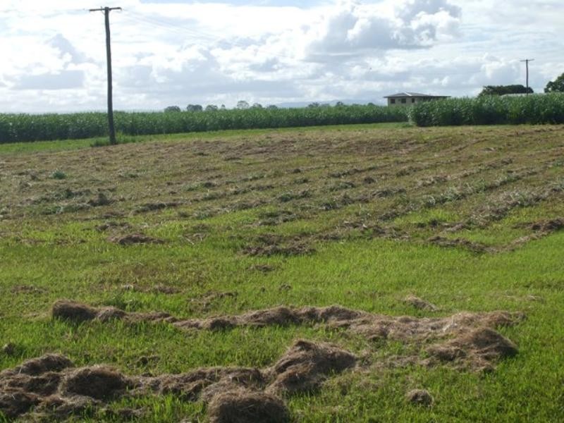 29 Halifax Road, Ingham QLD 4850