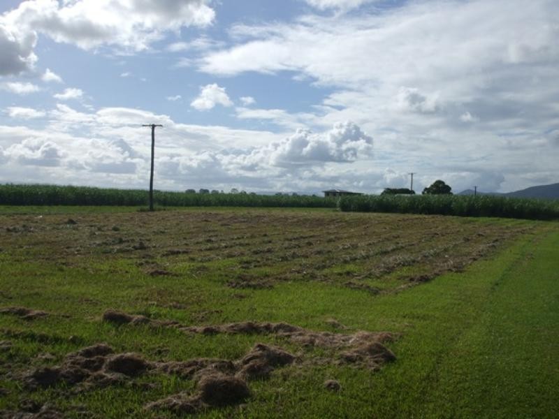 29 Halifax Road, Ingham QLD 4850