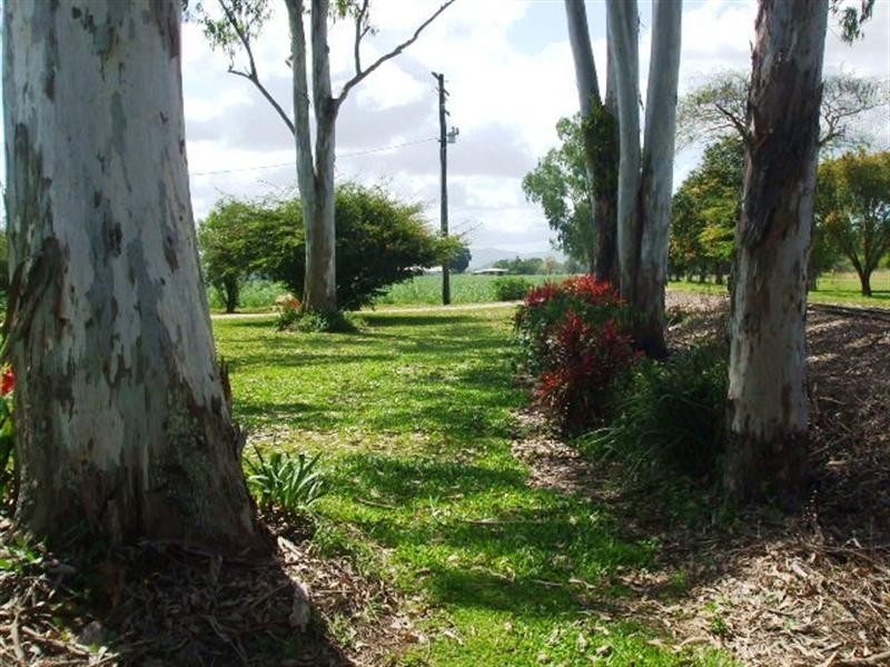 01957 Abergowrie Road, Lannercost QLD 4850