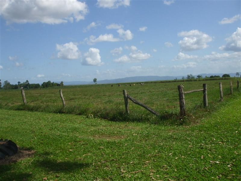 01957 Abergowrie Road, Lannercost QLD 4850