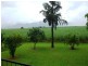 65 Fulton Drive, Bemerside QLD 4850