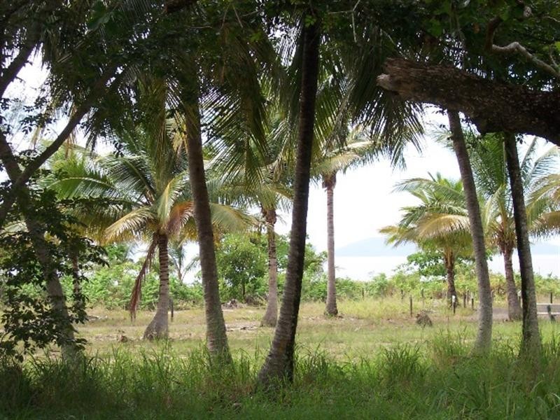 62 Patterson Parade, Lucinda QLD 4850