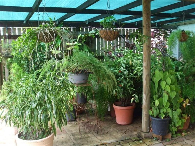 6 Clay Street, Ingham QLD 4850