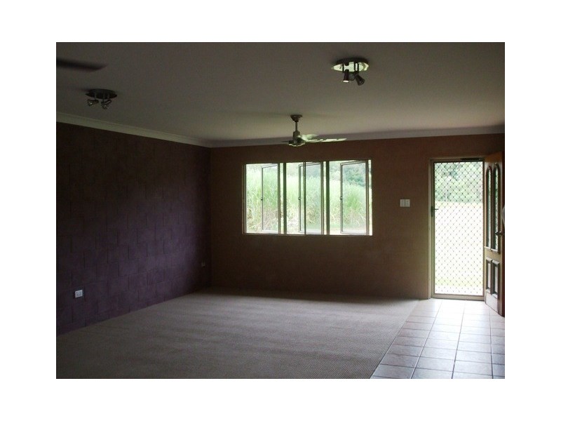 20 Old Bridge Road, Long Pocket QLD 4850