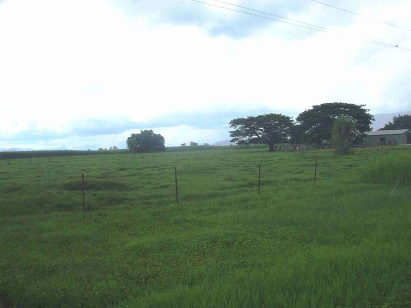 Trebonne QLD 4850