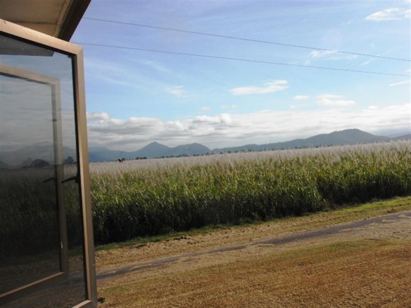 236 Foresthome Road, Ingham QLD 4850