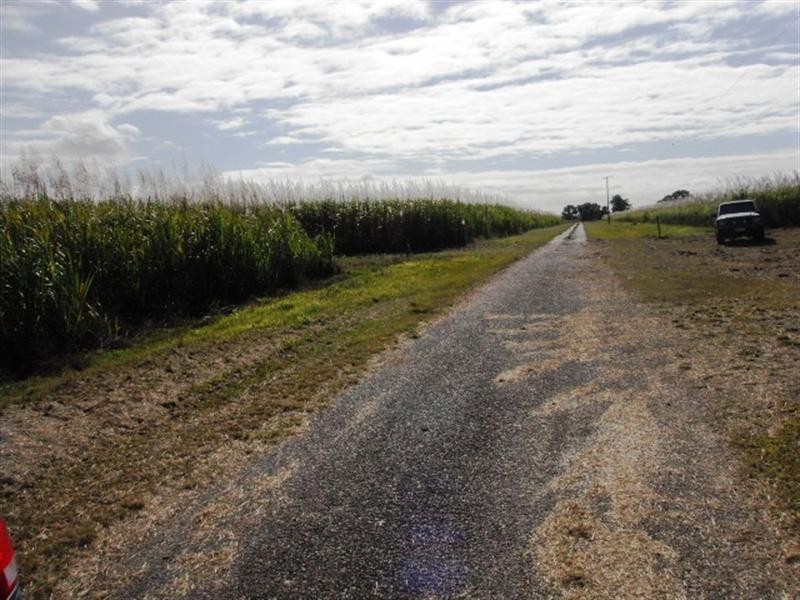 236 Foresthome Road, Ingham QLD 4850