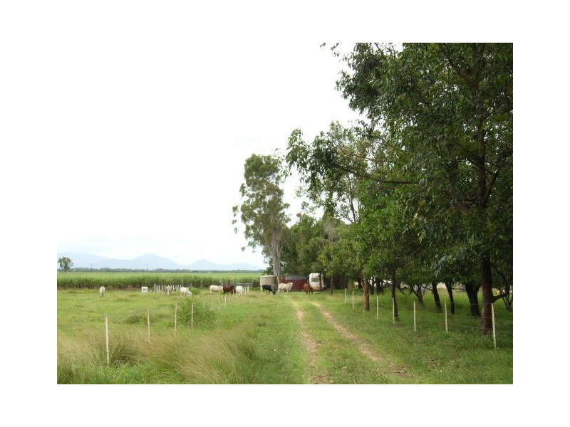 Ingham QLD 4850
