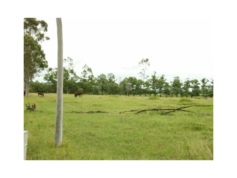 Ingham QLD 4850