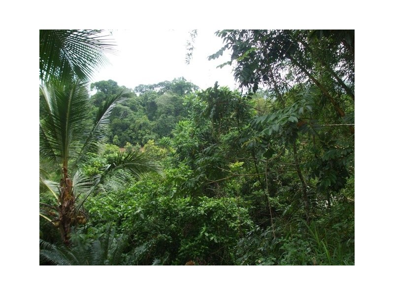 Long Pocket QLD 4850