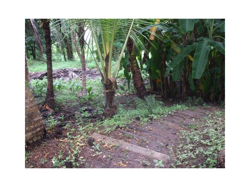 Long Pocket QLD 4850