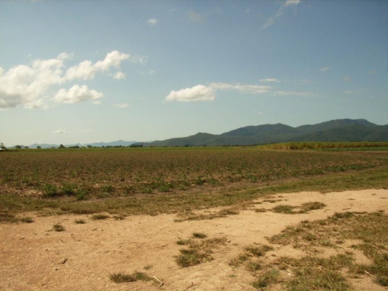 Trebonne QLD 4850
