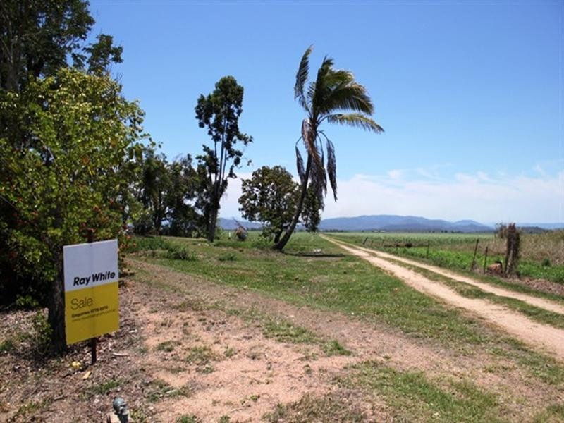 479 Trebonne Road, Trebonne QLD 4850