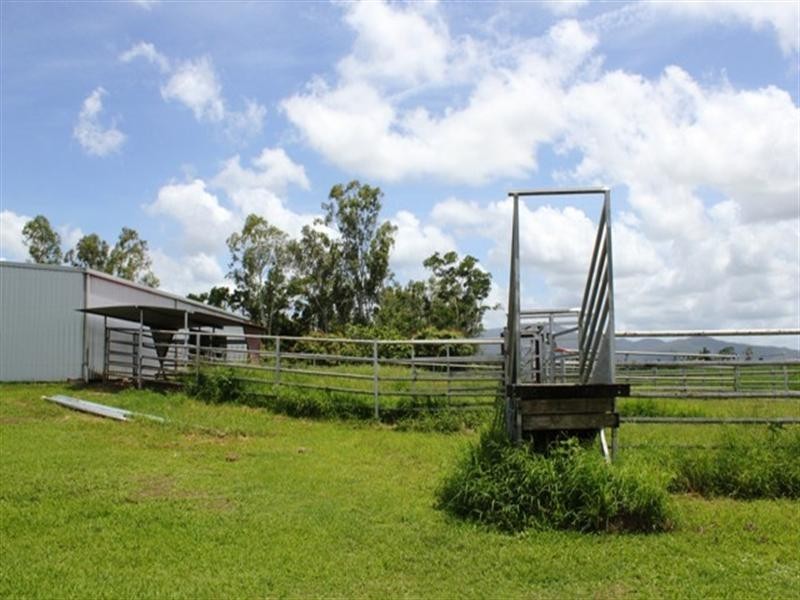 31 Gaia Road, Lannercost QLD 4850