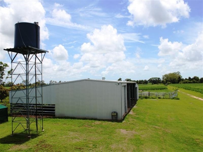 31 Gaia Road, Lannercost QLD 4850